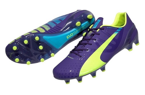 Puma evospeed purple on sale