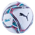 Puma teamFINAL 21.1 FQP Ball